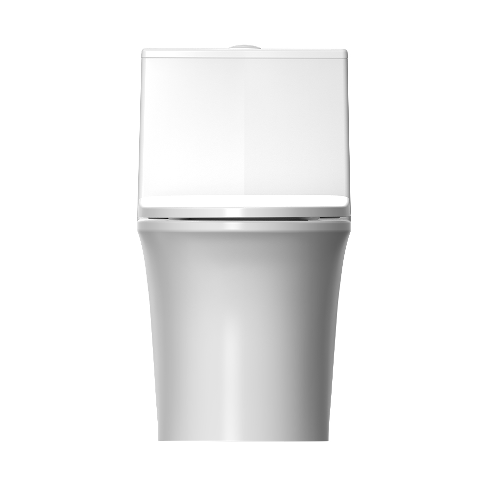 LC0205DT超旋風節水坐便器