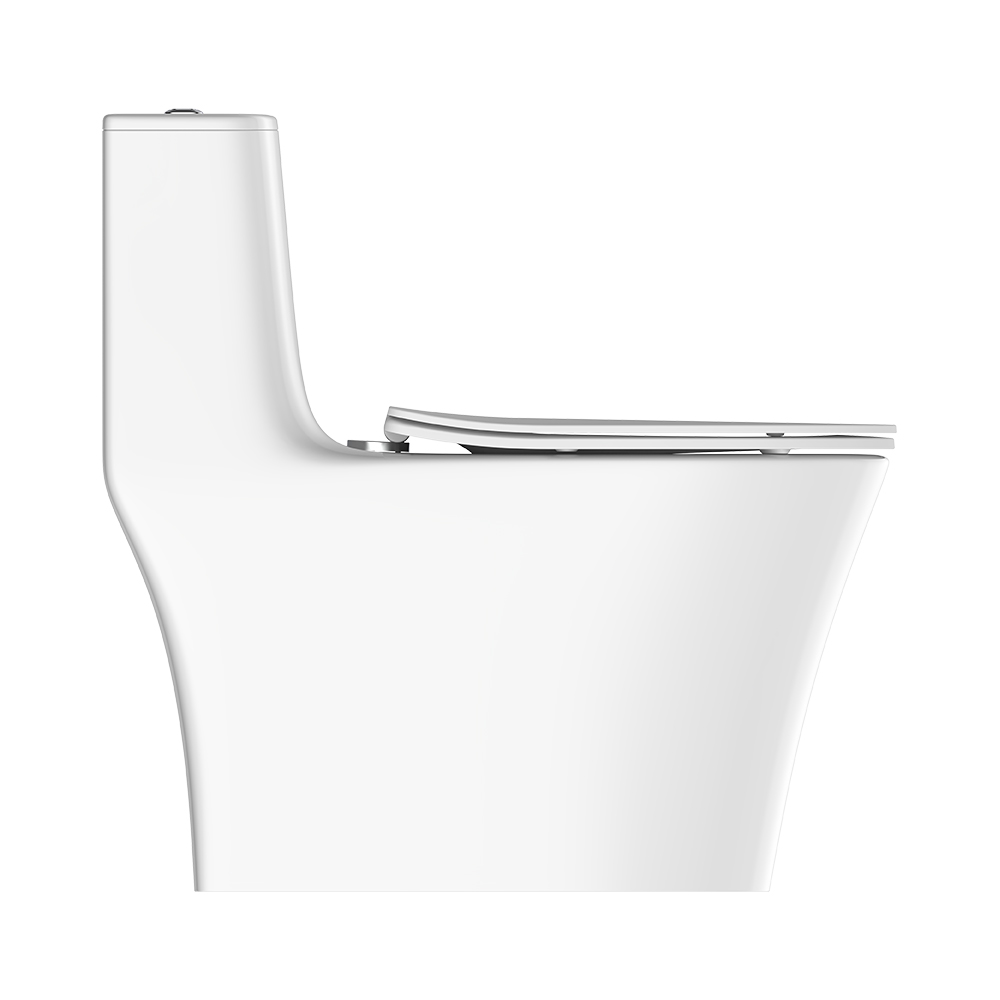 LC0905DT D5超旋風節水坐便器